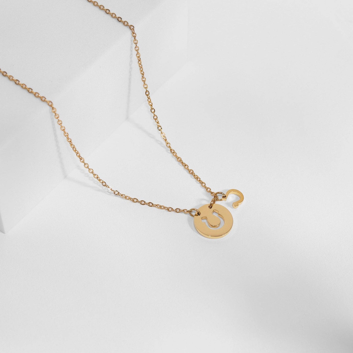 Western Stainless Steel / Gold Horseshoe Charm Necklace