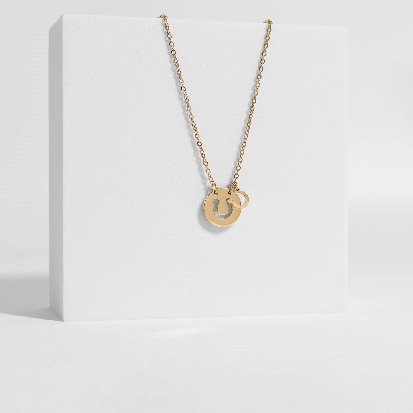 Western Stainless Steel / Gold Horseshoe Charm Necklace